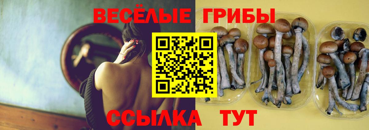 Псилоцибиновые грибы MAGIC MUSHROOMS Димитровград